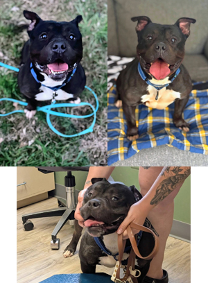 More BUGSY!!!