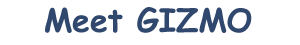 Meet GIZMO!!