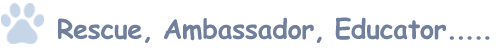 Rescue, Ambassador, Educator...
